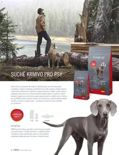 Náhled letáku HORNBACH leták - Finevo od 01.01.2026 | Strana: 6