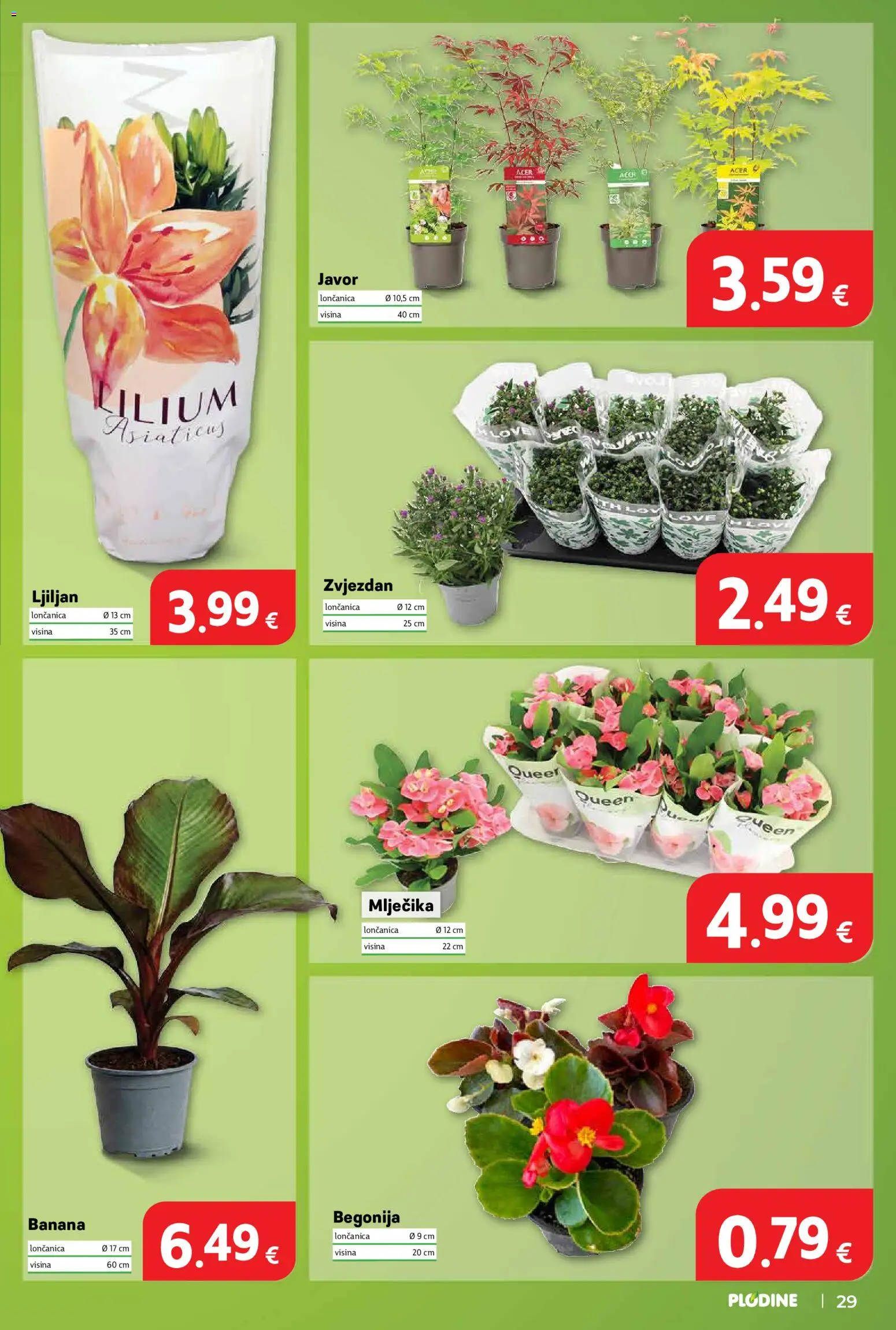 Plodine katalog | vrijedi od 18.06.2026 | Stranica: 29