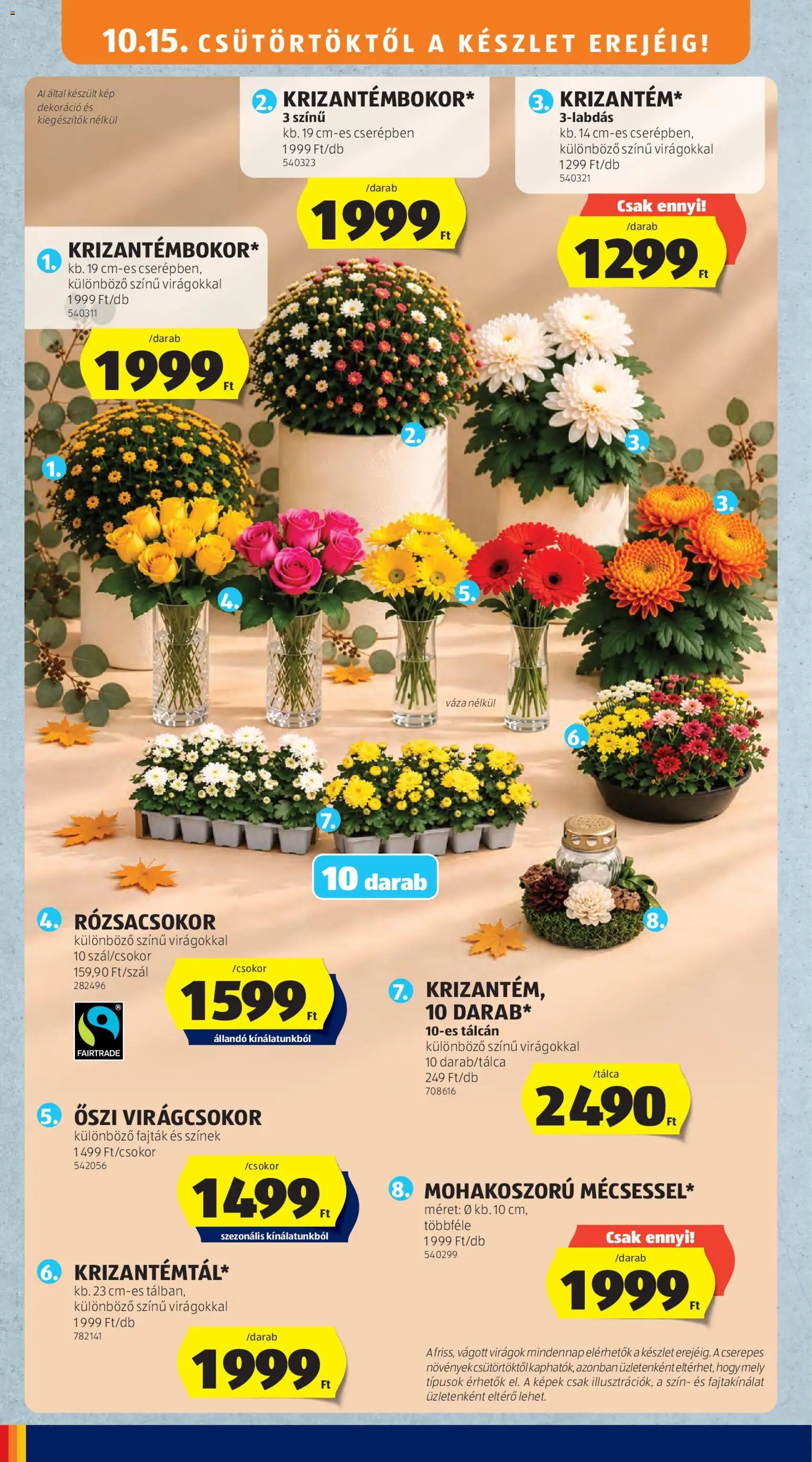 Aldi akciós ujság - amely érvényes a következő dátumtól: 2026.10.15. | Oldal: 12 | Termékek: Rózsacsokor, Váza, Rosé, Dekoráció