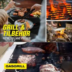 Harald Nyborg - Grill gyldig fra 01/01/2026