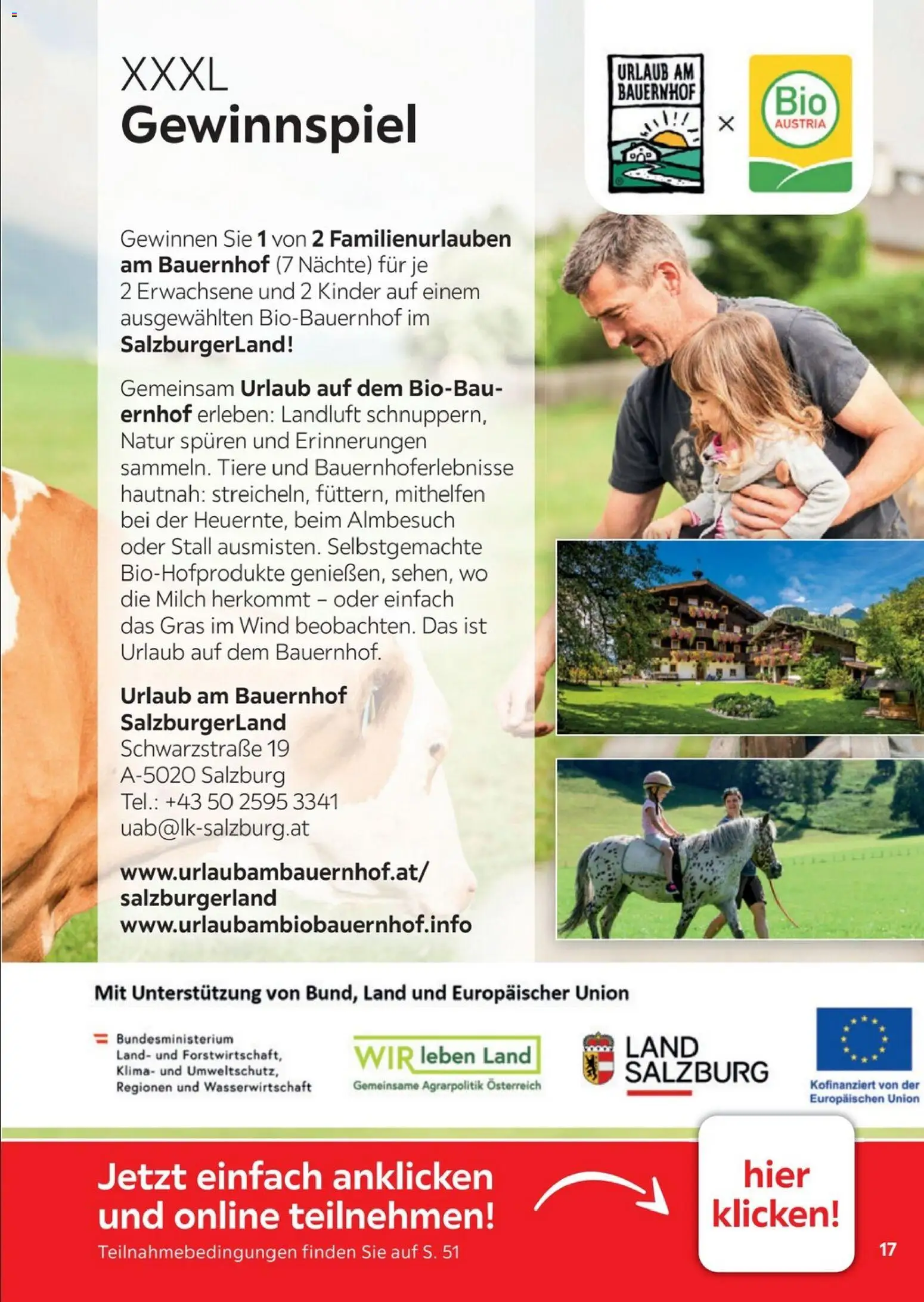 XXXLutz Freundschaftskartenjournal – gültig ab 01.08.2026 | Seite: 17 | Produkte: Milch