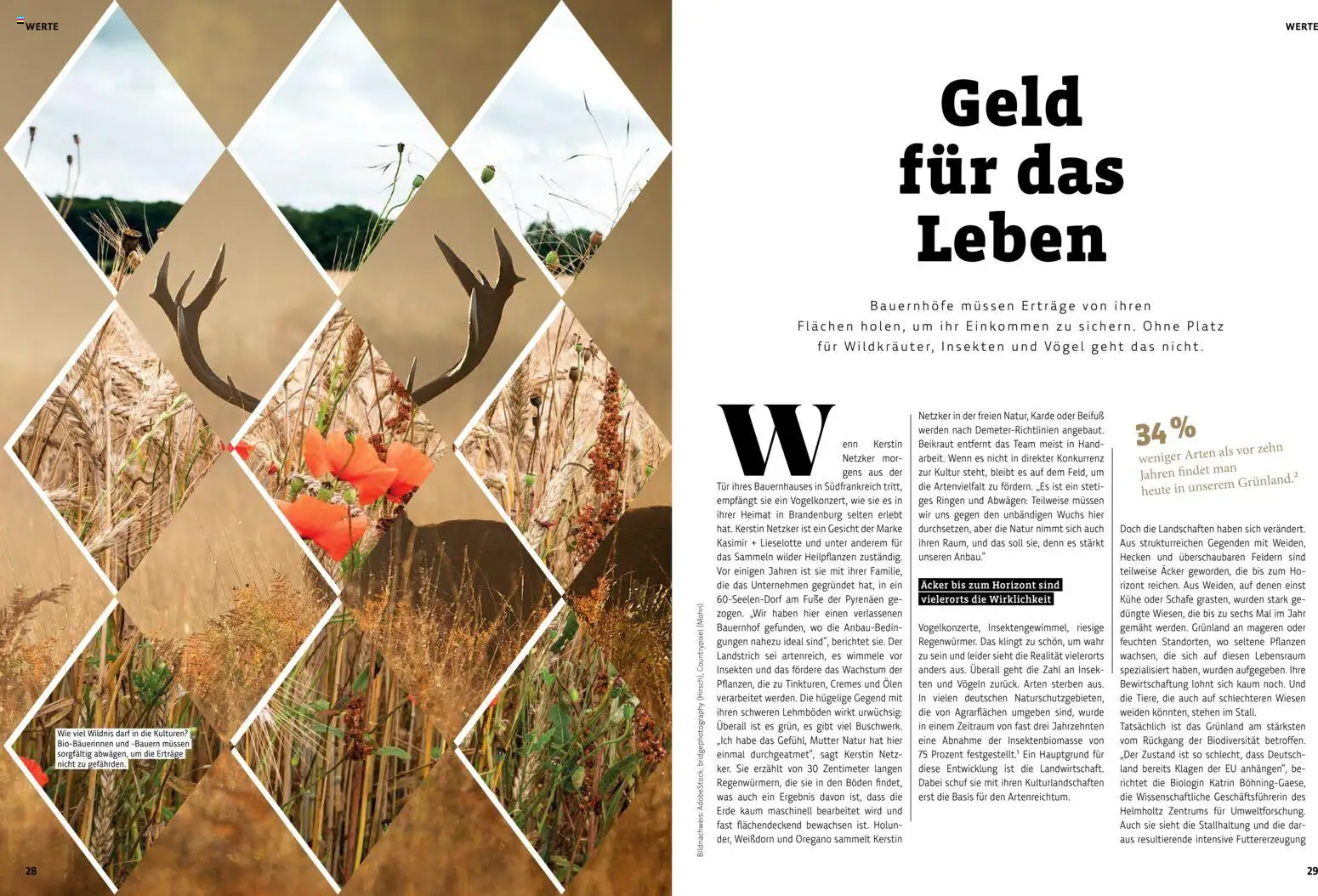 Denns BioMarkt KREO Magazin gültig ab 22.07.2026 | Seite: 15