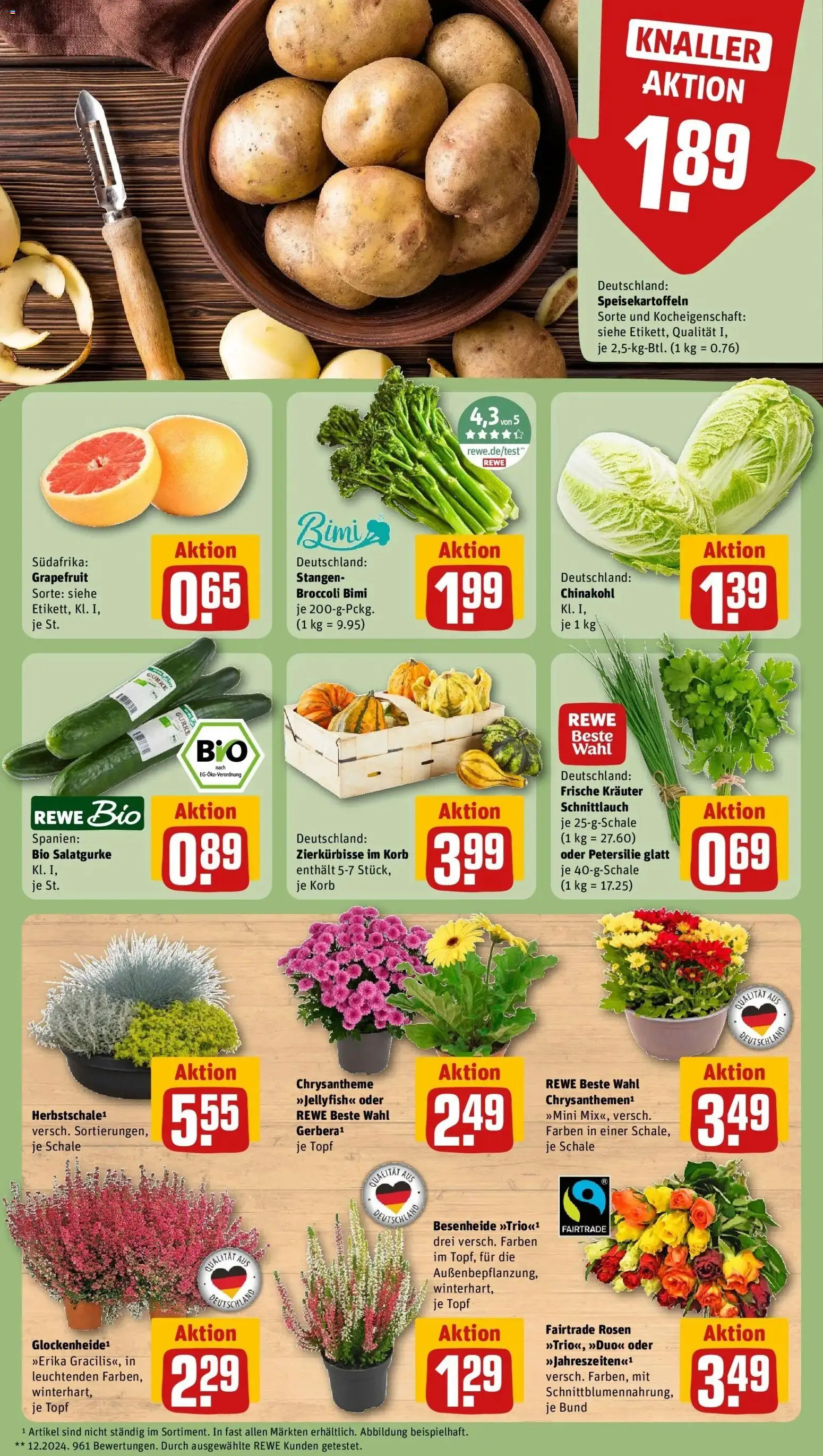 REWE Prospekt ab 21.09.2026 zum Blättern » Angebote | Seite: 13 | Produkte: Korb, Grapefruit, Chinakohl, Petersilie