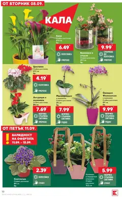 Преглед на Кауфланд брошура Враца - Седмични предложения от Kaufland - Офертите са валидни от 07.09.2026 | Страница: 10 | Продукти: Стъкло, Орхидея