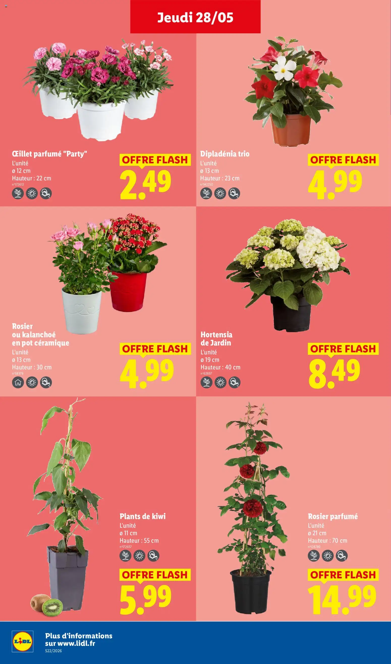 {H1} | Page: 28 | Produits: Hortensia, Rosier, Dipladénia, Kiwi