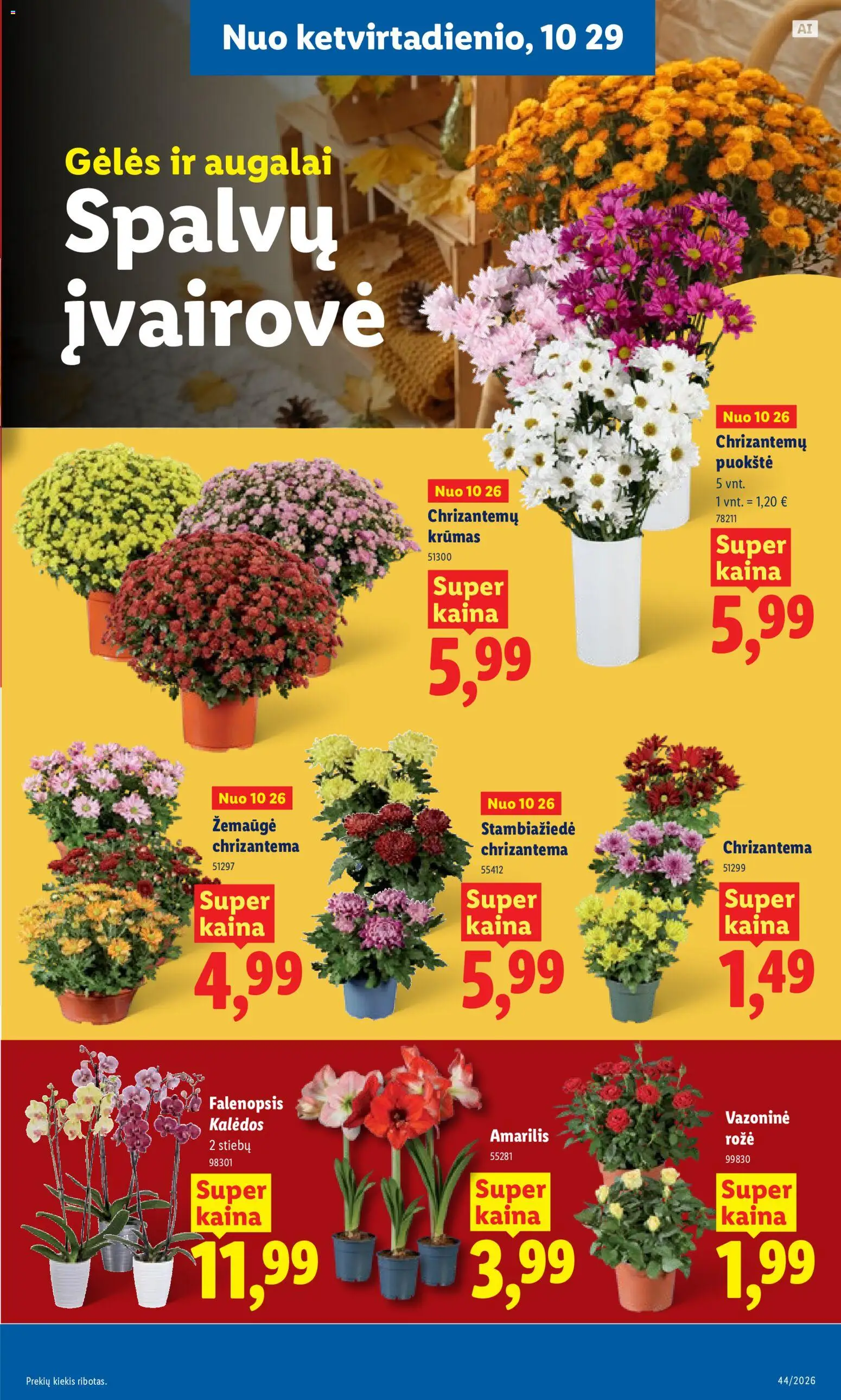 LIDL akcijos nuo 2026.10.26 | Puslapis: 43