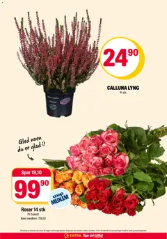 Forhåndsvisning av Coop Extra kundeavis gyldig fra 05/10/2026 | Side: 23 | Produkter: Roser, Ved, Lyng