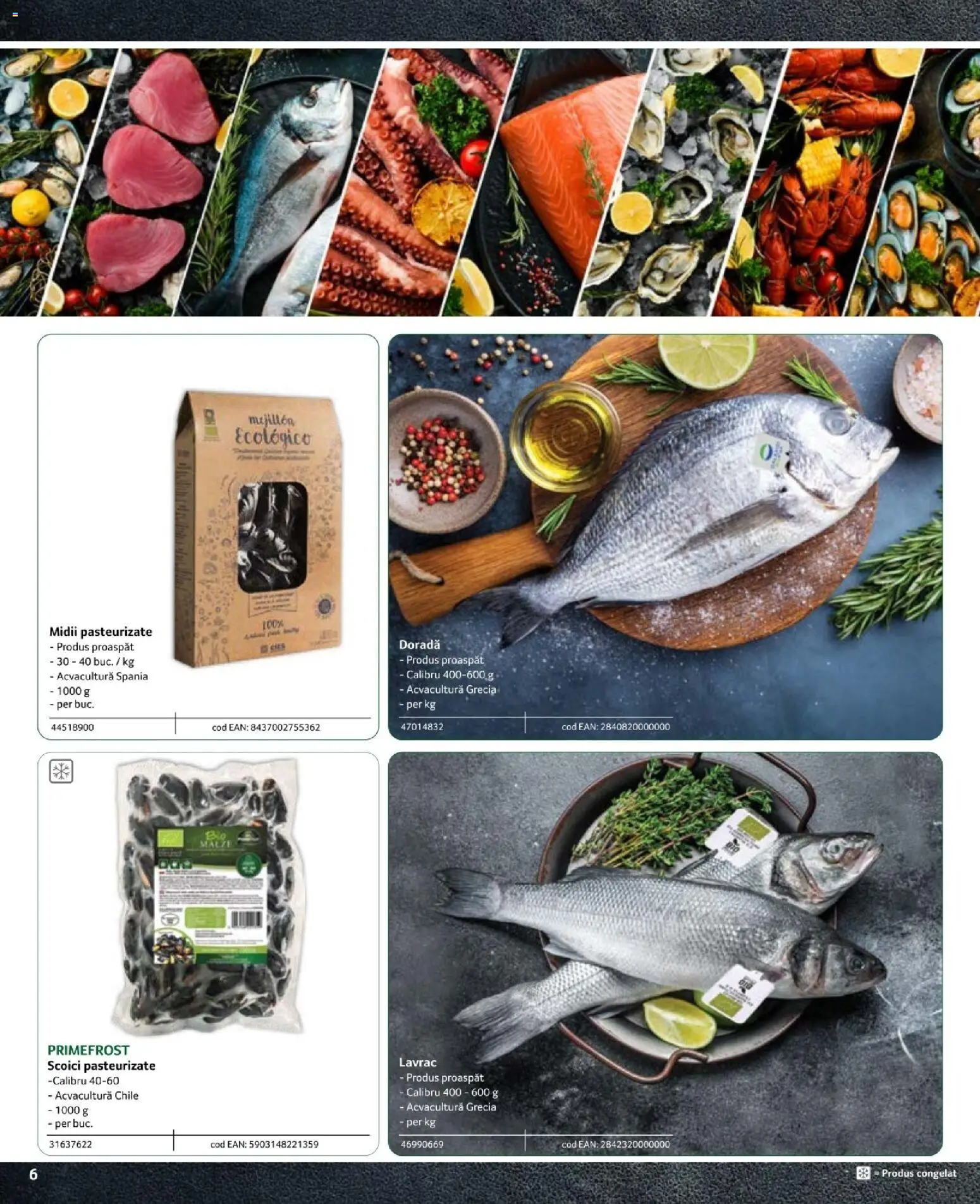 Noul catalog Selgros – valabil de la 09.02.2024 | Pagină: 6