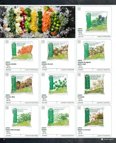 Ofertele Selgros valabile de la 09.02.2024 | Pagină: 4 | Produse: Mazăre, Fasole verde, Morcovi, Legume