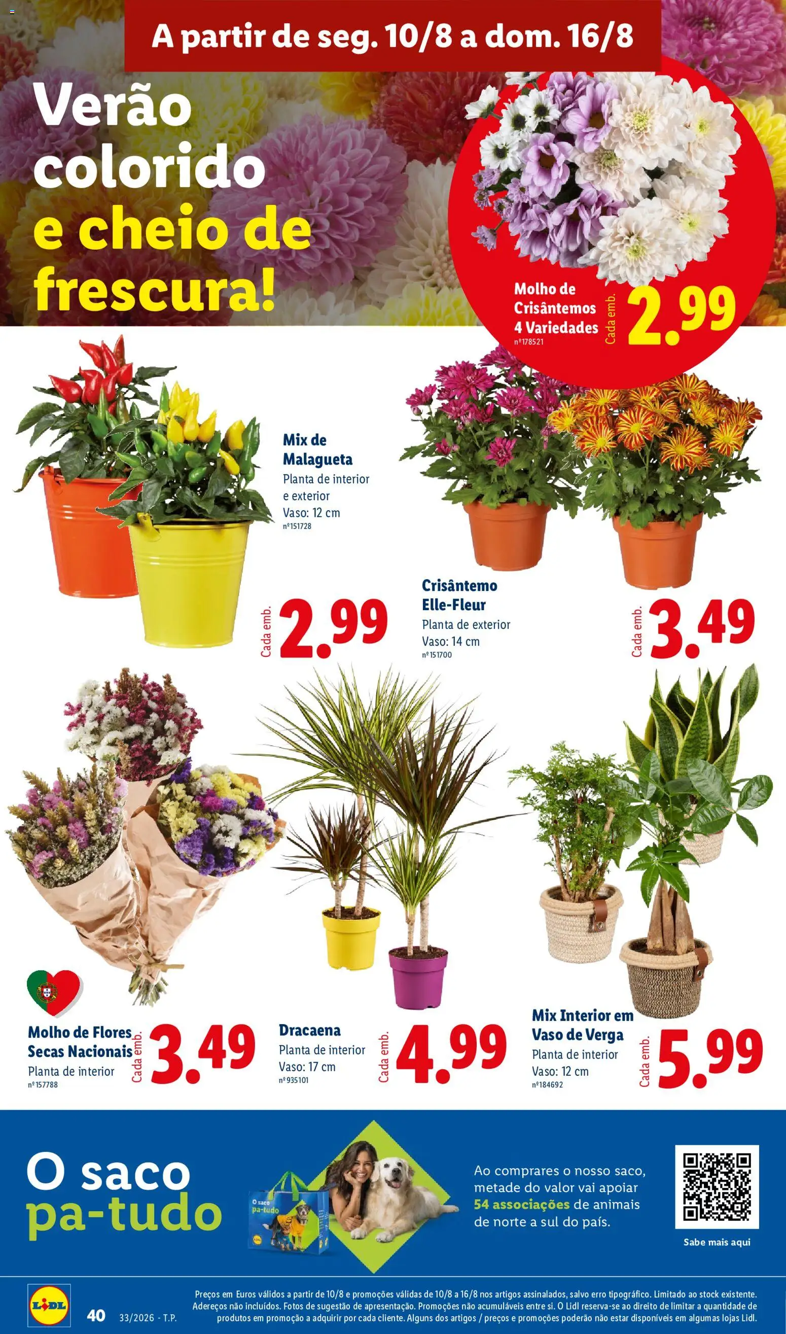 Lidl folheto │ válido de 10/08/2026 | Página: 40 | Produtos: Flores, Saco, Vaso, Malagueta