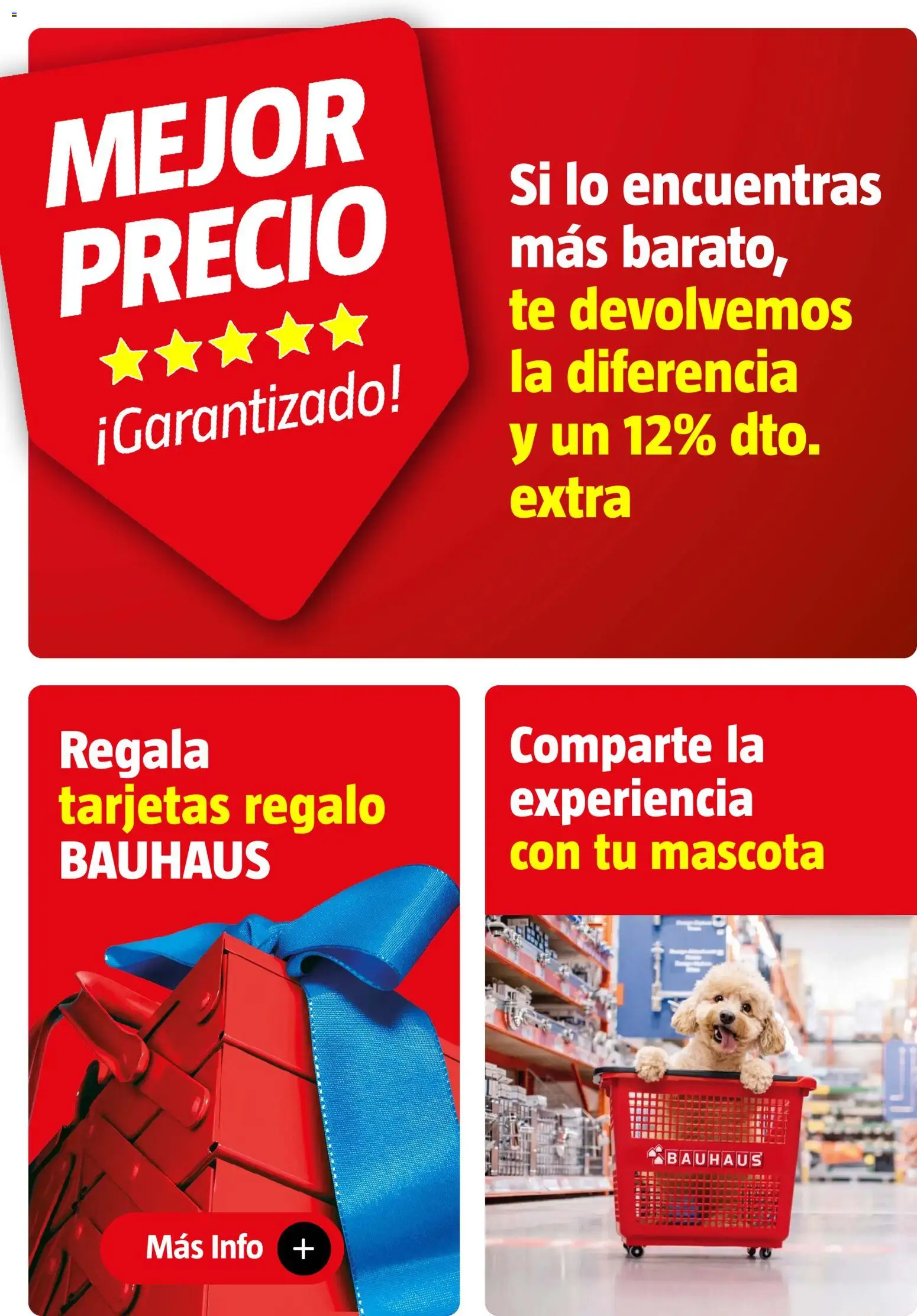 Bauhaus folleto │ válido desde el 24/09/2026 | Página: 2 | Productos: Té