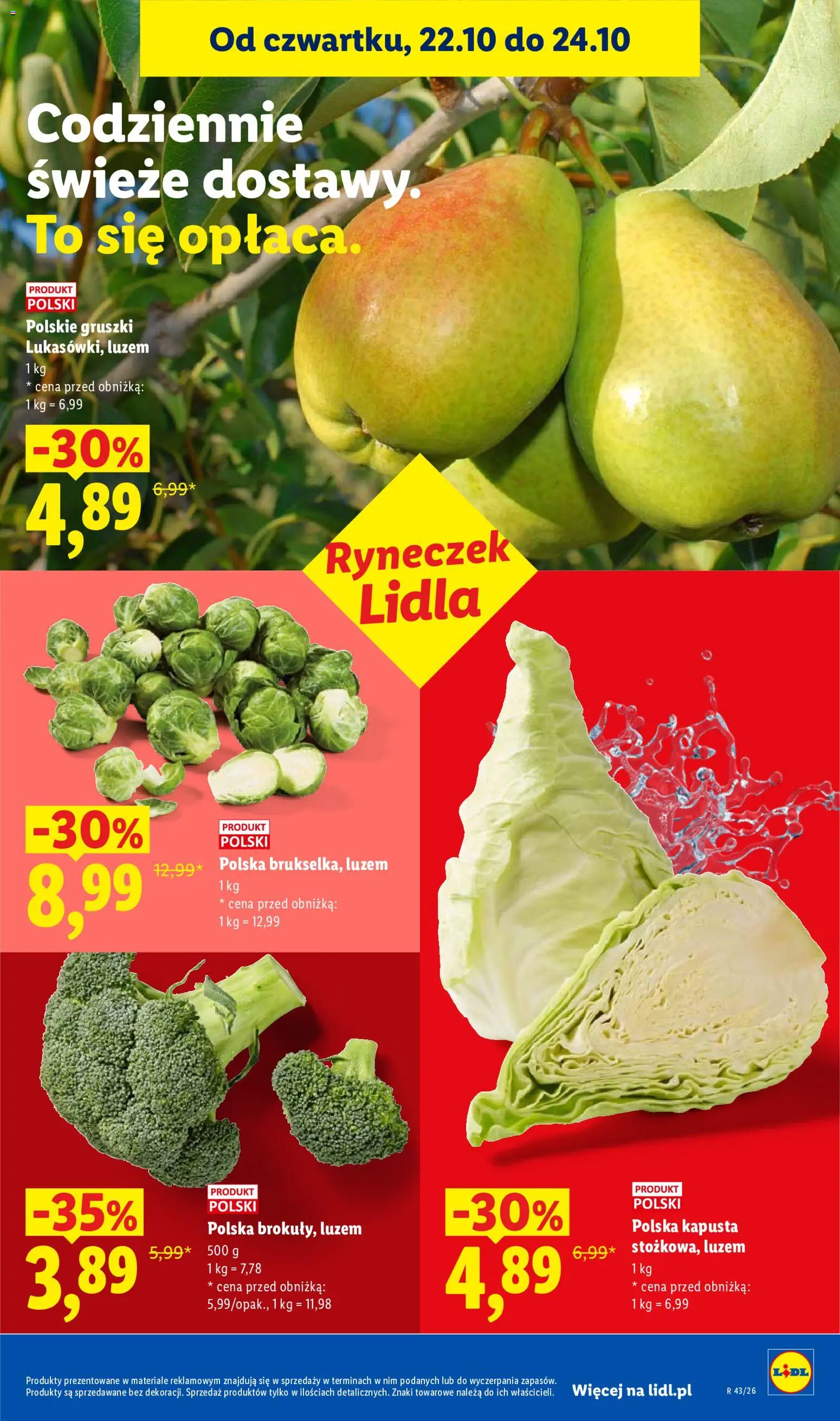 Lidl Polsko katalog od 22.10.2026 | Strana: 47