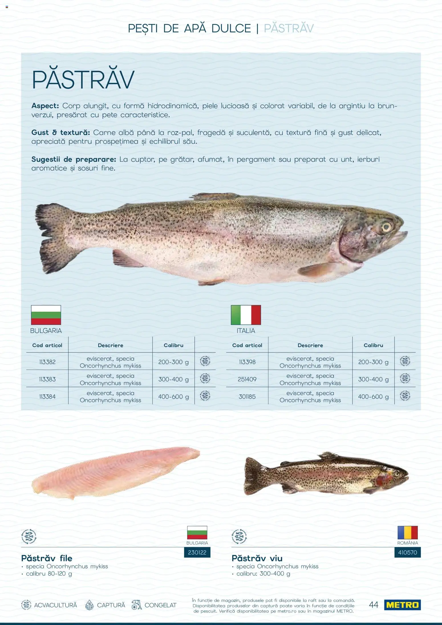 Noul catalog Metro – valabil de la 01.10.2026 | Pagină: 44 | Produse: Pastrav, Alba, Raft, Apă