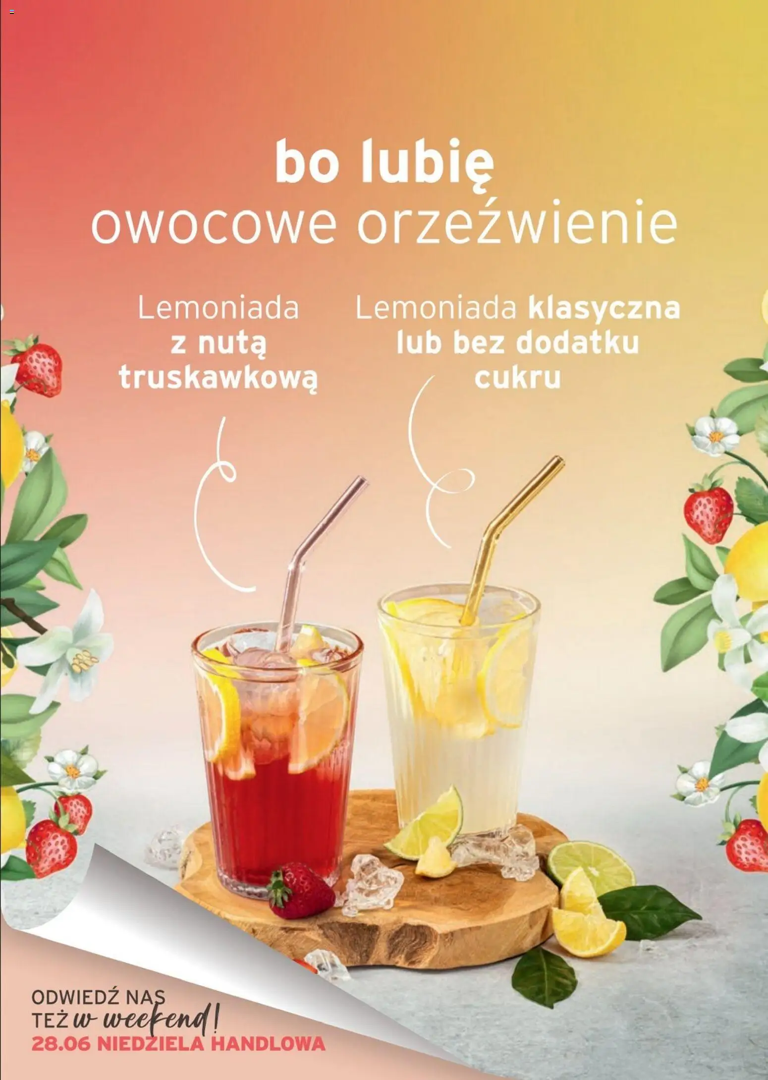 Tchibo promocje od 30.06.2026 | Strona: 16
