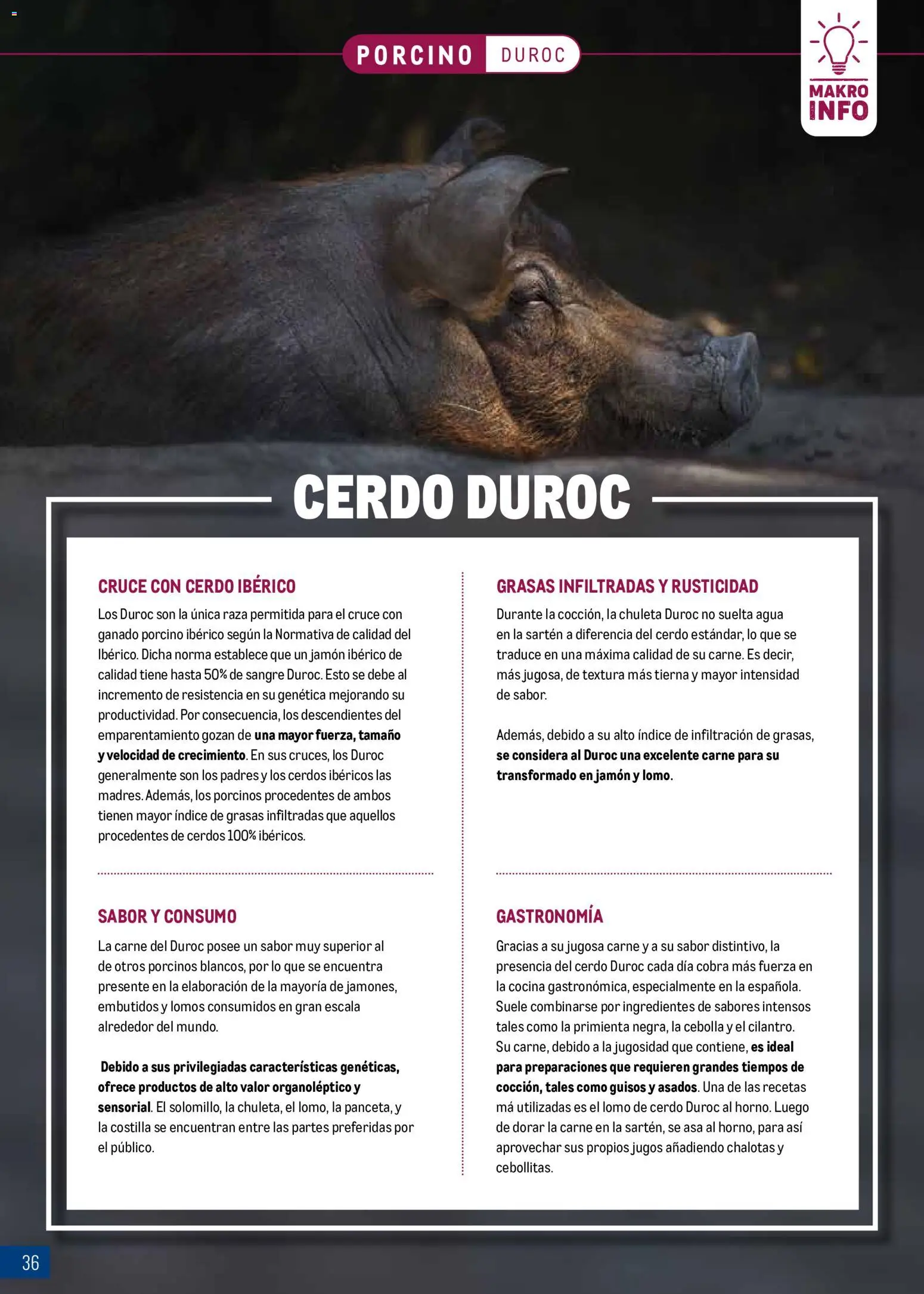 Makro Expertos en carnes │ válido desde el 07/09/2026 | Página: 36 | Productos: Jamón, Cebolla, Carne, Agua