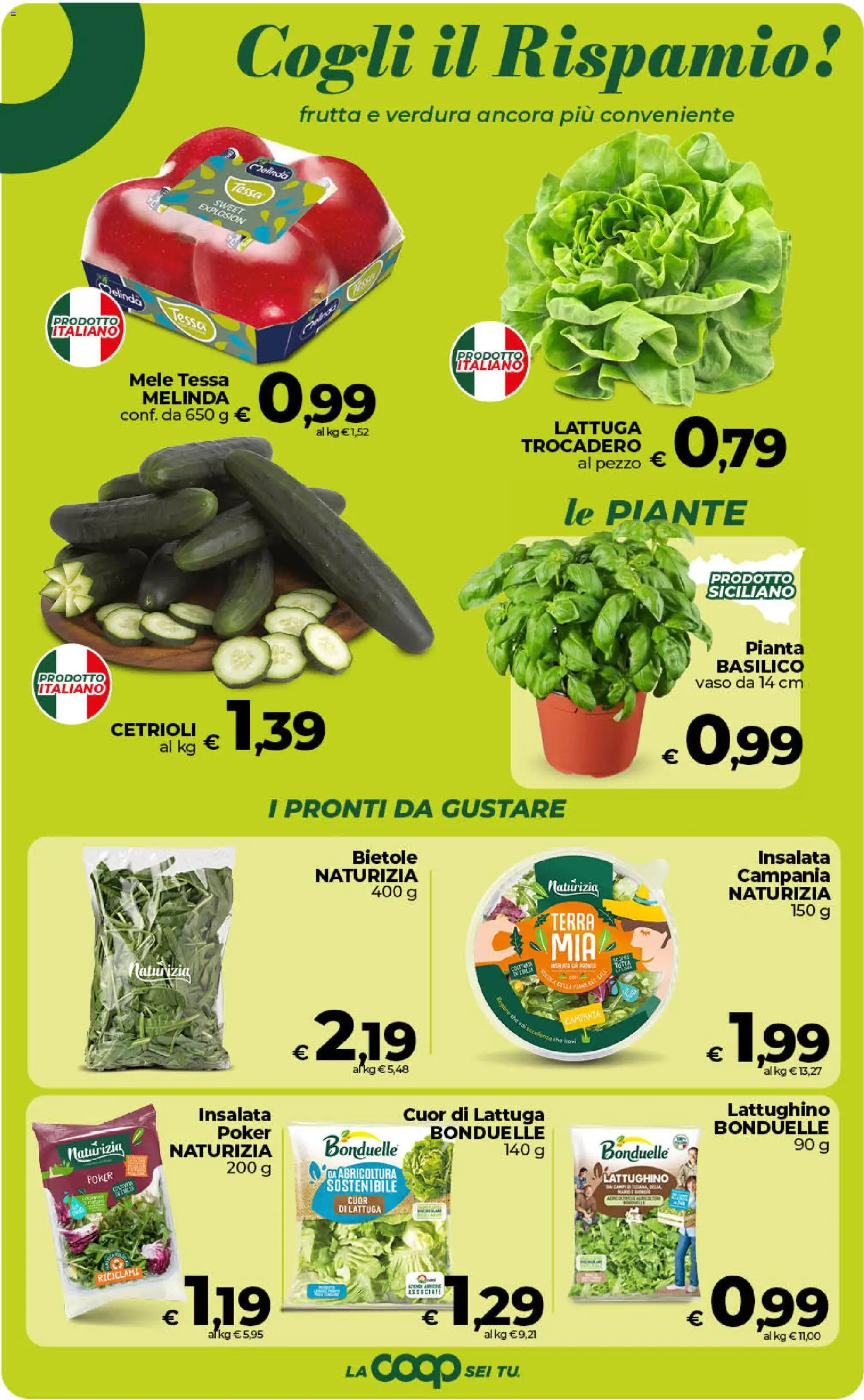 Volantino COOP del 30/06/2026 | Pagina: 19 | Prodotti: Mele, Cetrioli, The, Terra