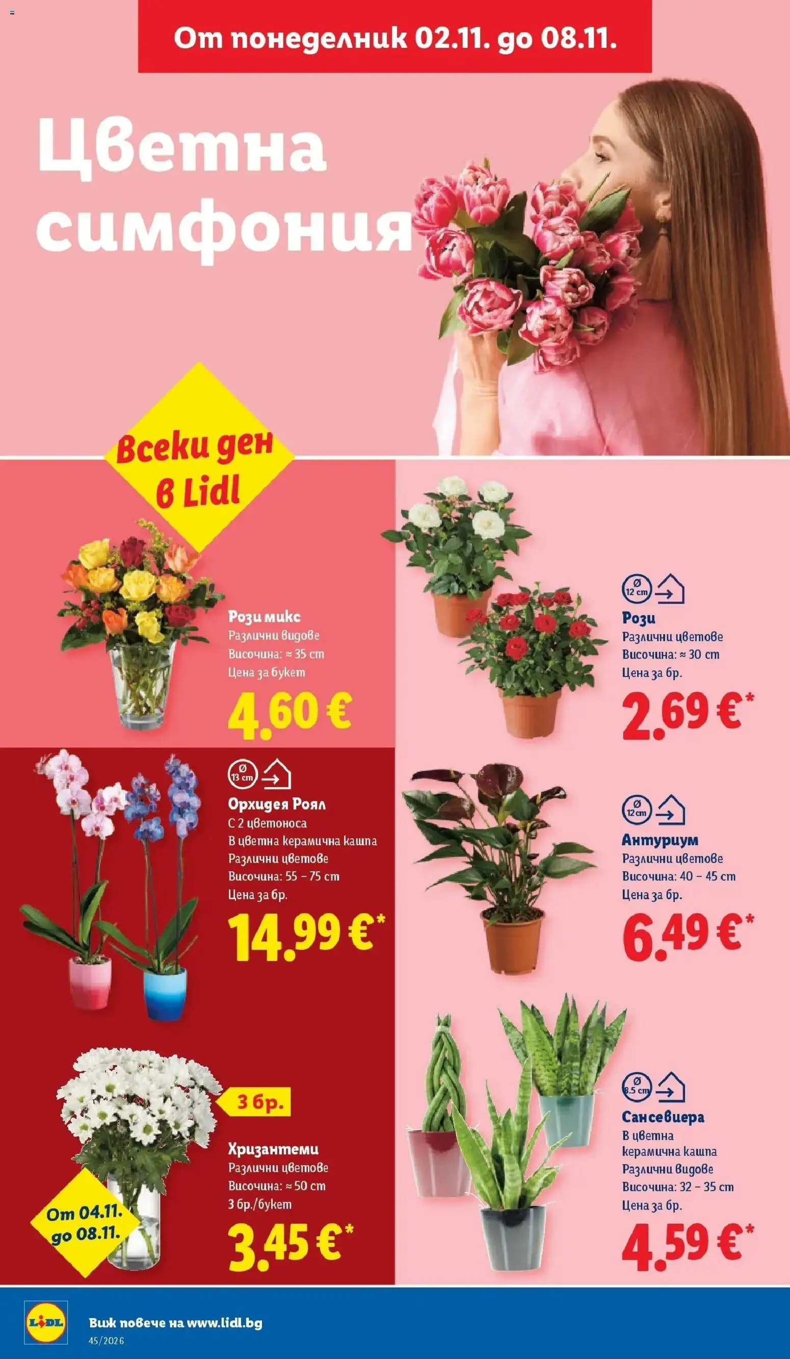 Лидл брошура XXL предложения от 02.11.2026 | Страница: 48 | Продукти: Кашпа, Орхидея
