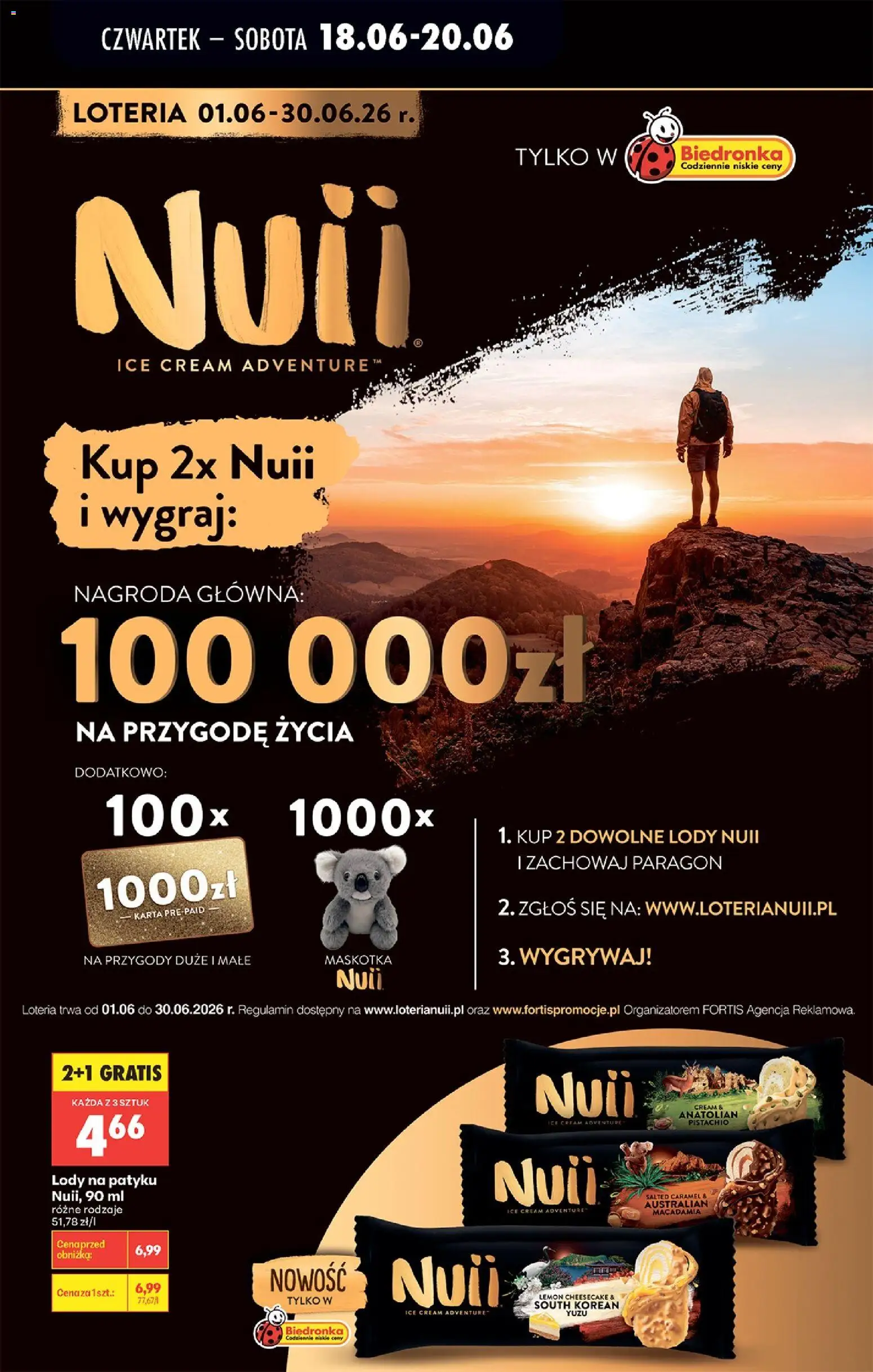 Biedronka gazetka od czwartku od 18.06.2026 | Strona: 46 | Produkty: Karta, Lody na patyku, Lody