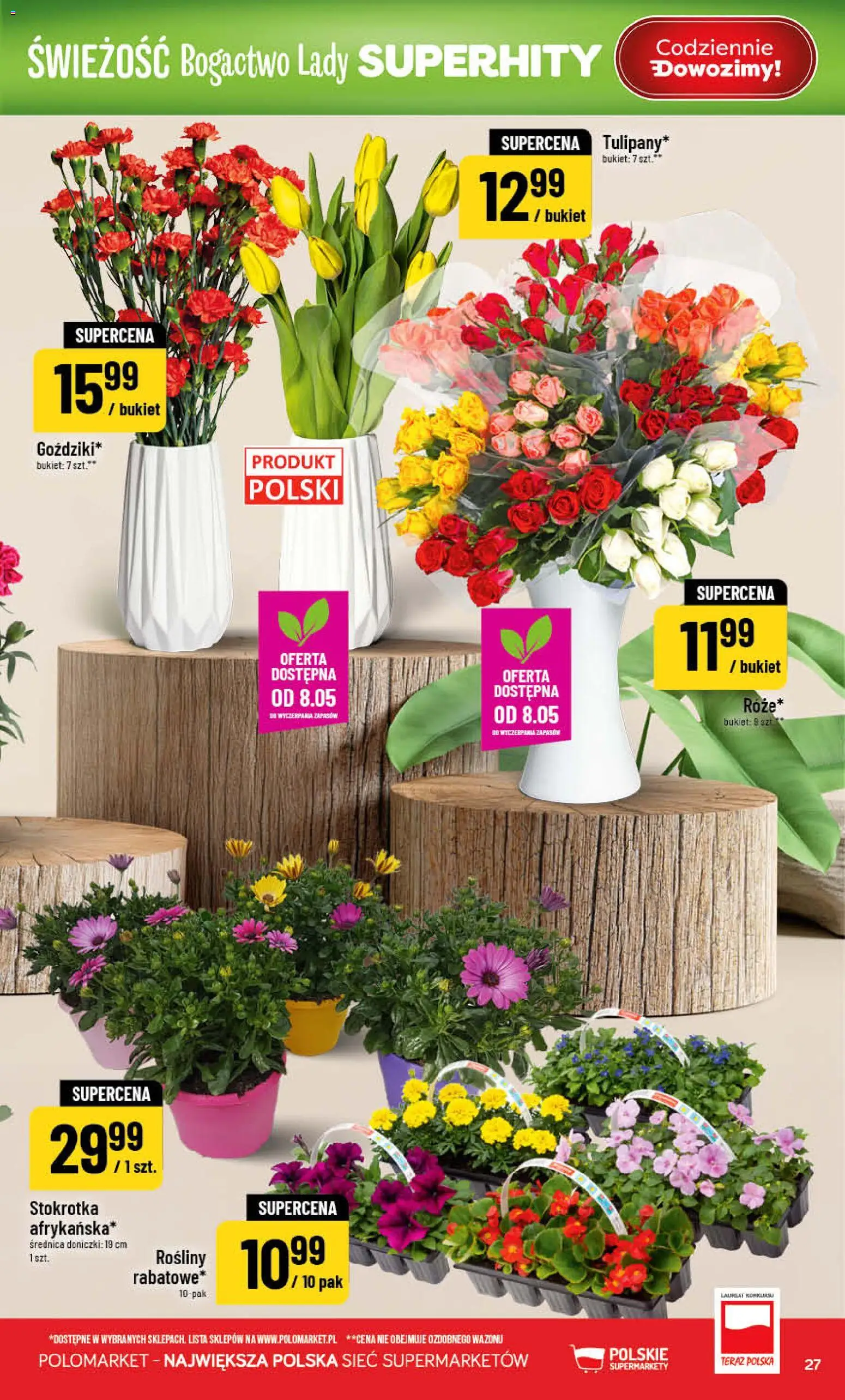 POLOmarket gazetka od 06.05.2026 | Strona: 27 | Produkty: Stokrotka, Rosliny, Doniczki