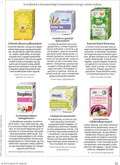 DM Drogerie Markt Active Beauty 2026/10 - amely érvényes a következő dátumtól: 2026.10.15. | Oldal: 37 | Termékek: Tőzegáfonya, Felső, Gyümölcstea, Mentatea