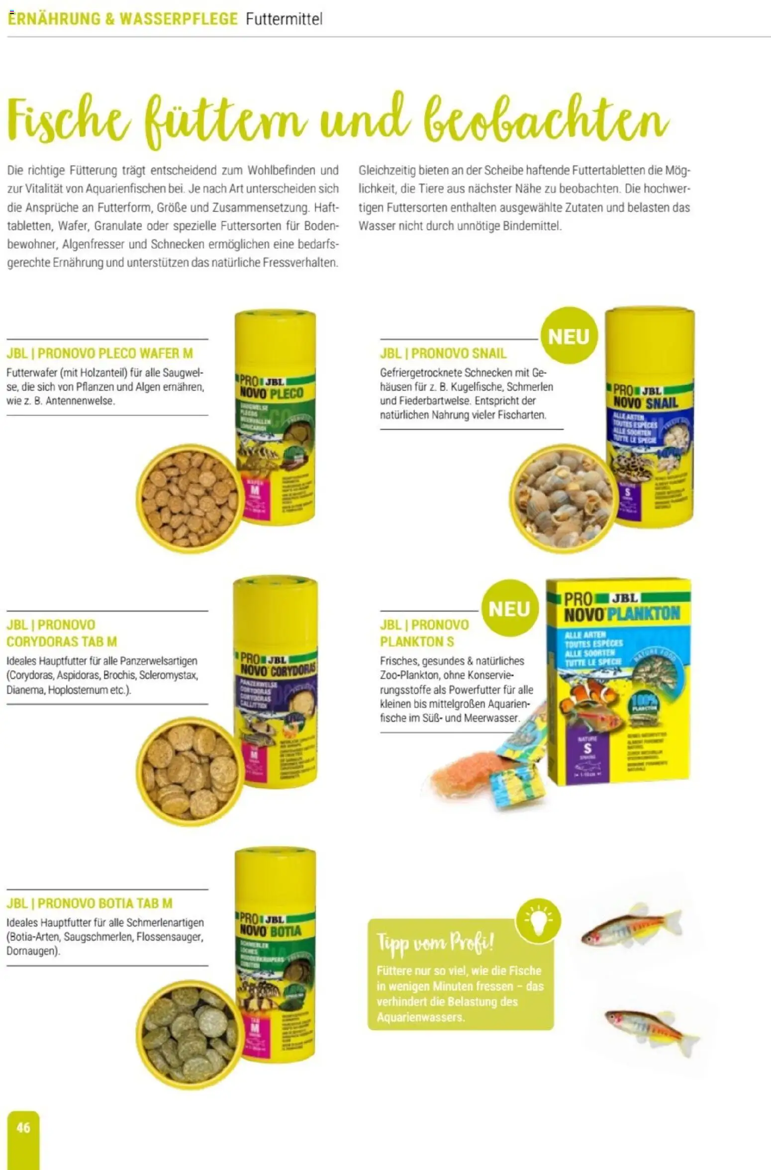 zookauf Themenkatalog Aqua – gültig ab 01.10.2026 | Seite: 46 | Produkte: Wasser