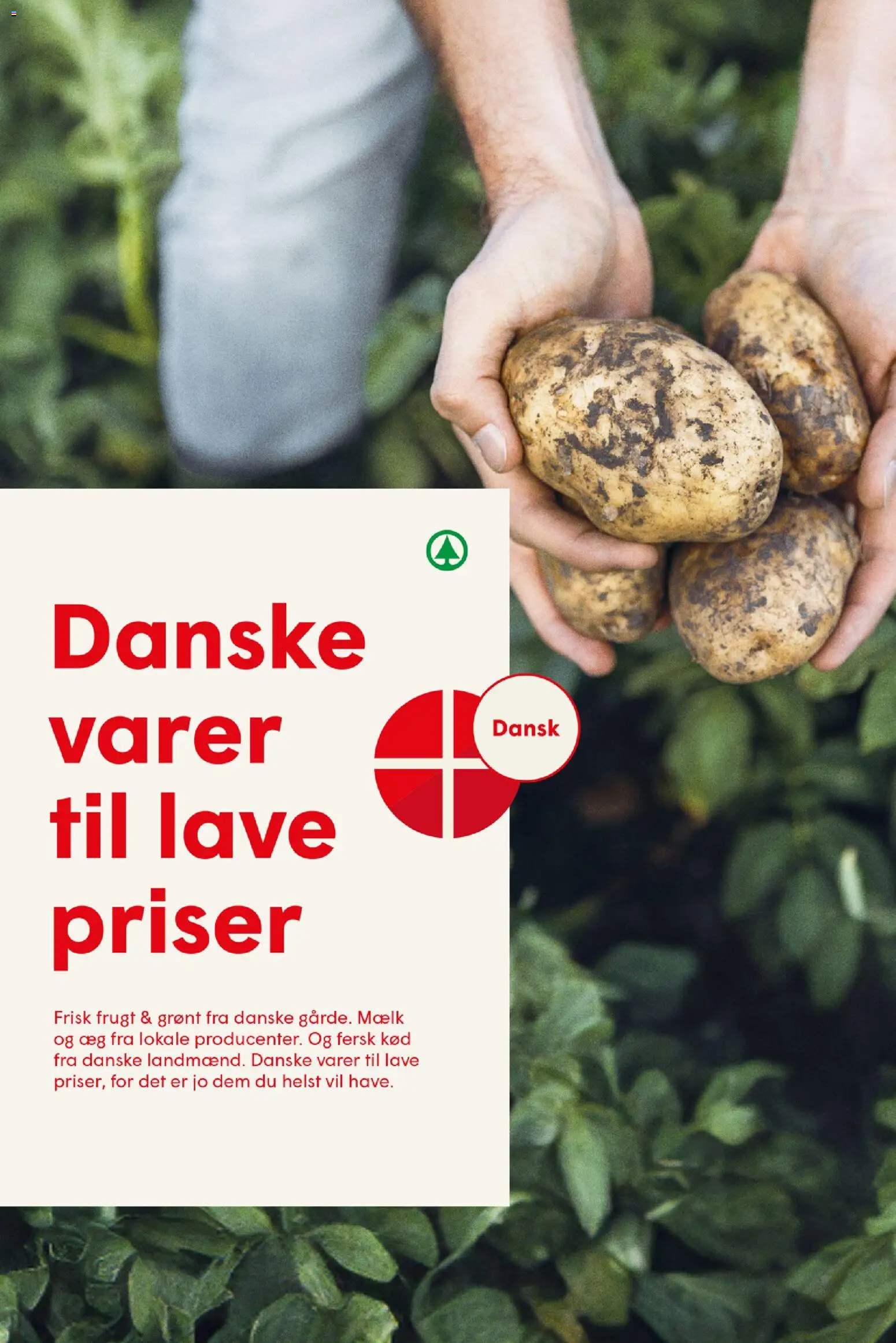 Spar tilbudsavis – gyldig fra 31/07/2026 | Side: 19 | Produkter: Mælk, Æg