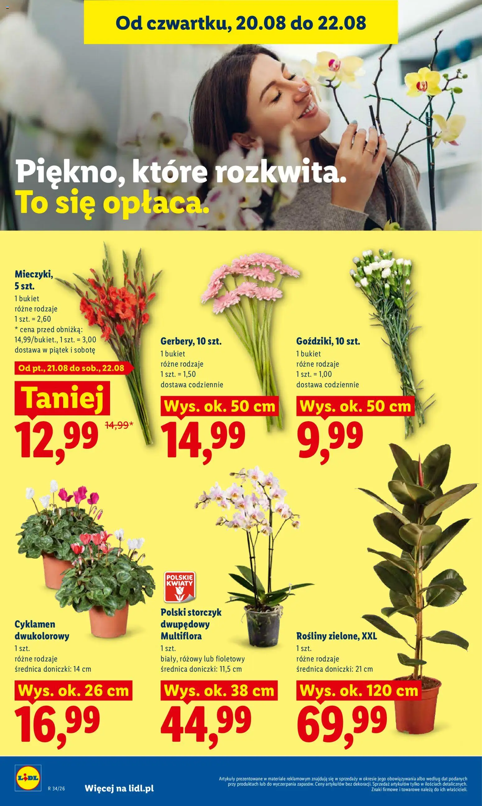 Lidl Polsko leták od 20.08.2026 | Strana: 96 | Produkty: Storczyk