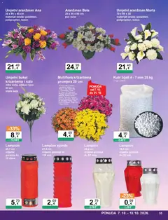 KTC Katalog - Pregled kataloga iz trgovine KTC, vrijedi od 07.10.2026 | Stranica: 35 | Proizvodi: Lampion, Bilje, Buket, Ruza