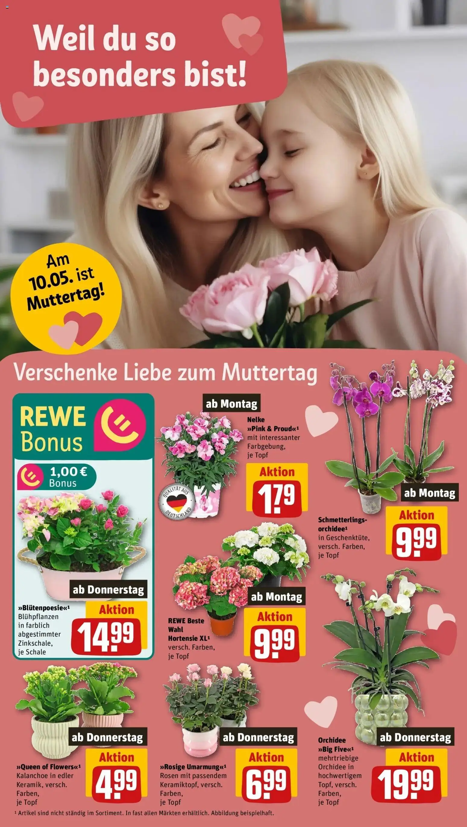 REWE Prospekt ab 04.05.2026 zum Blättern » Angebote | Seite: 8 | Produkte: Hortensie, Orchidee