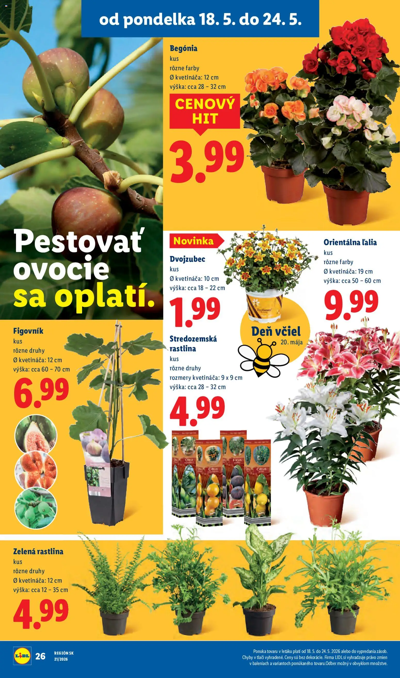 Nové Lidl akcie – leták je platný od 18.05.2026 | Strana: 32 | Produkty: Ovocie
