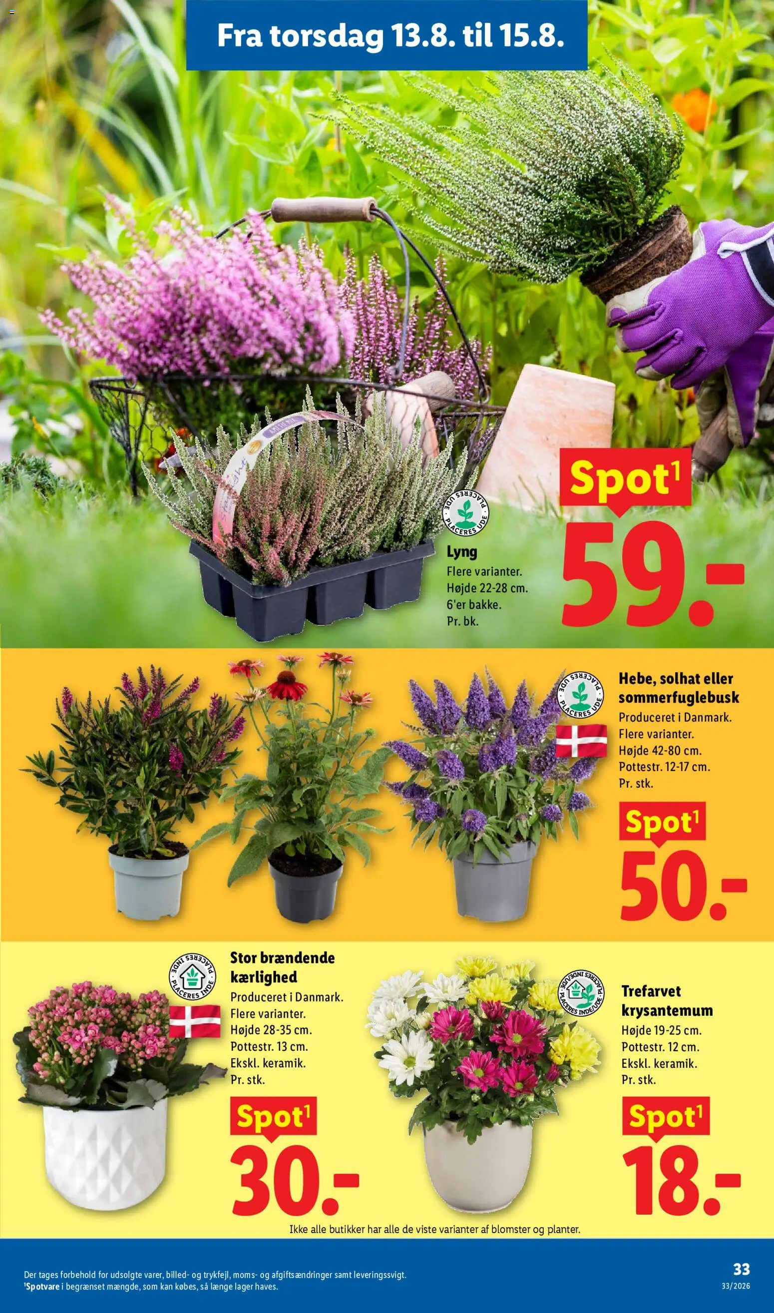 Lidl tilbudsavis – gyldig fra 09/08/2026 | Side: 34 | Produkter: Søm
