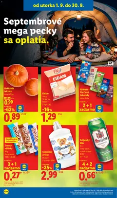 Lidl leták platný od 07.09.2026 | Strana: 42