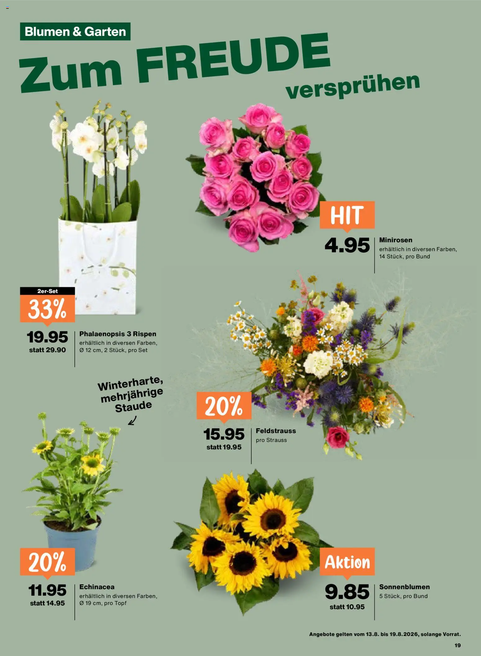 Migros aktionen – gültig ab 13.08.2026 | Seite: 19