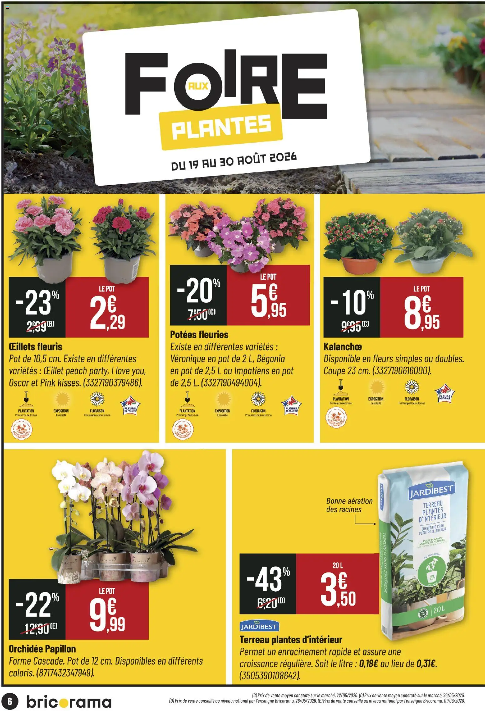 {H1} | Page: 6 | Produits: Plantes, Fleurs, Plantes vertes, Bégonia