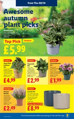 Preview of Weekly offers Lidl England valid from 08/10/2026 | Page: 26