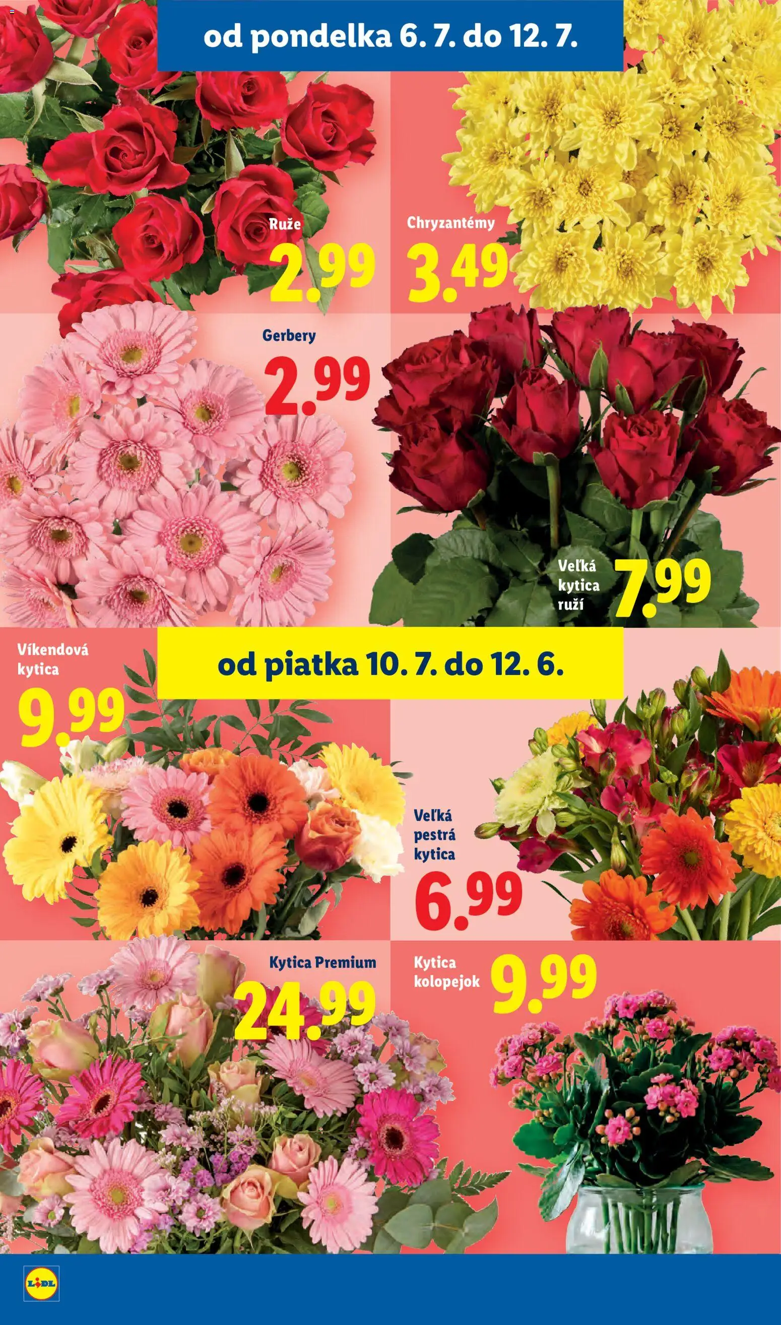 Nové Lidl akcie – leták je platný od 06.07.2026 | Strana: 48 | Produkty: Ruže
