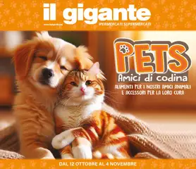 Anteprima del volantino Il Gigante volantino Amici di codina valido a partire dal 12/10/2026