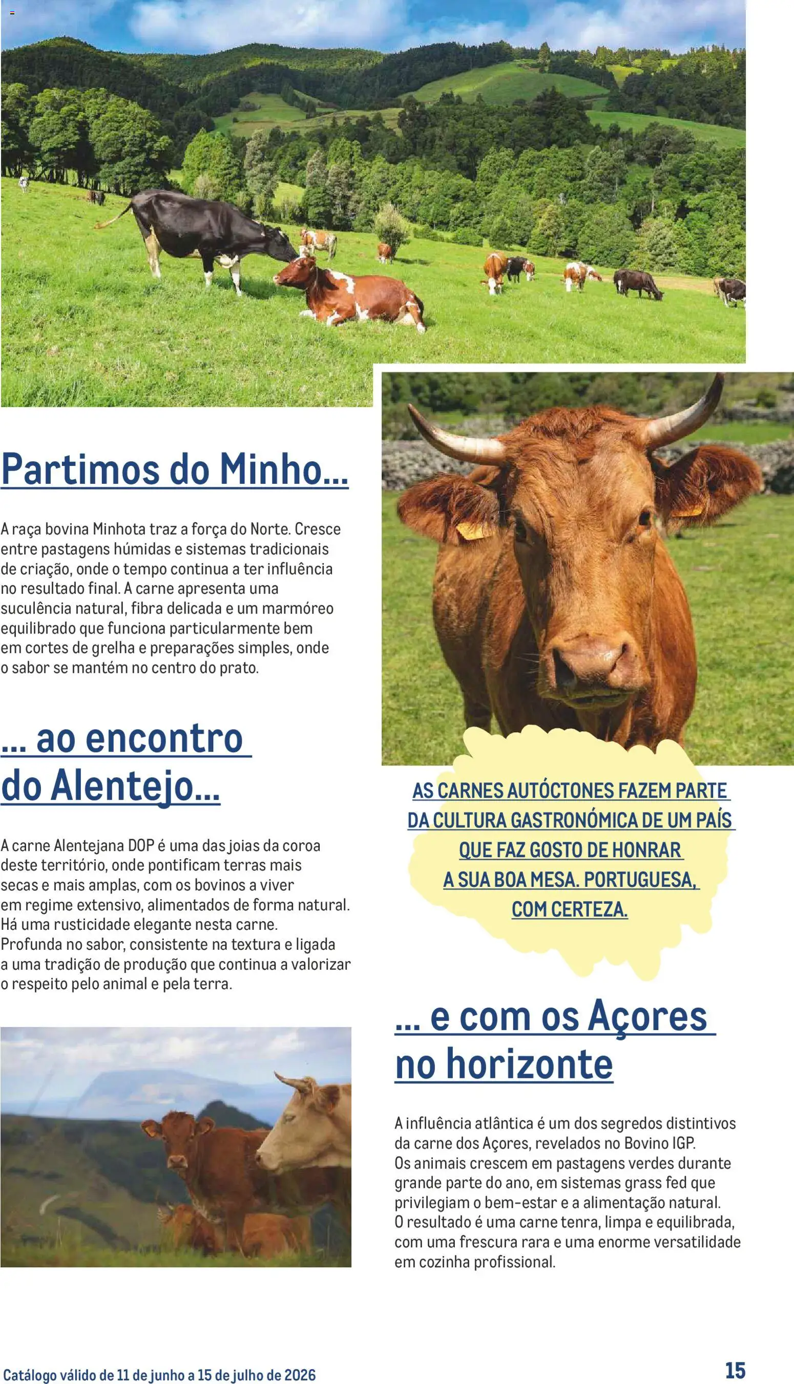 Makro Especial Carnes │ válido de 11.06.2026 | Página: 15 | Produtos: Carne