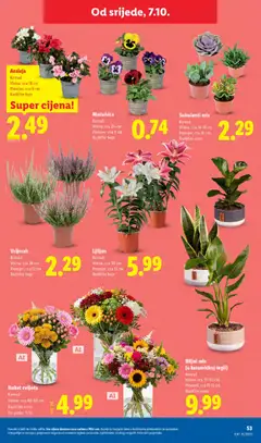 Lidl Katalog - Pregled kataloga iz trgovine Lidl, vrijedi od 05.10.2026 | Stranica: 53