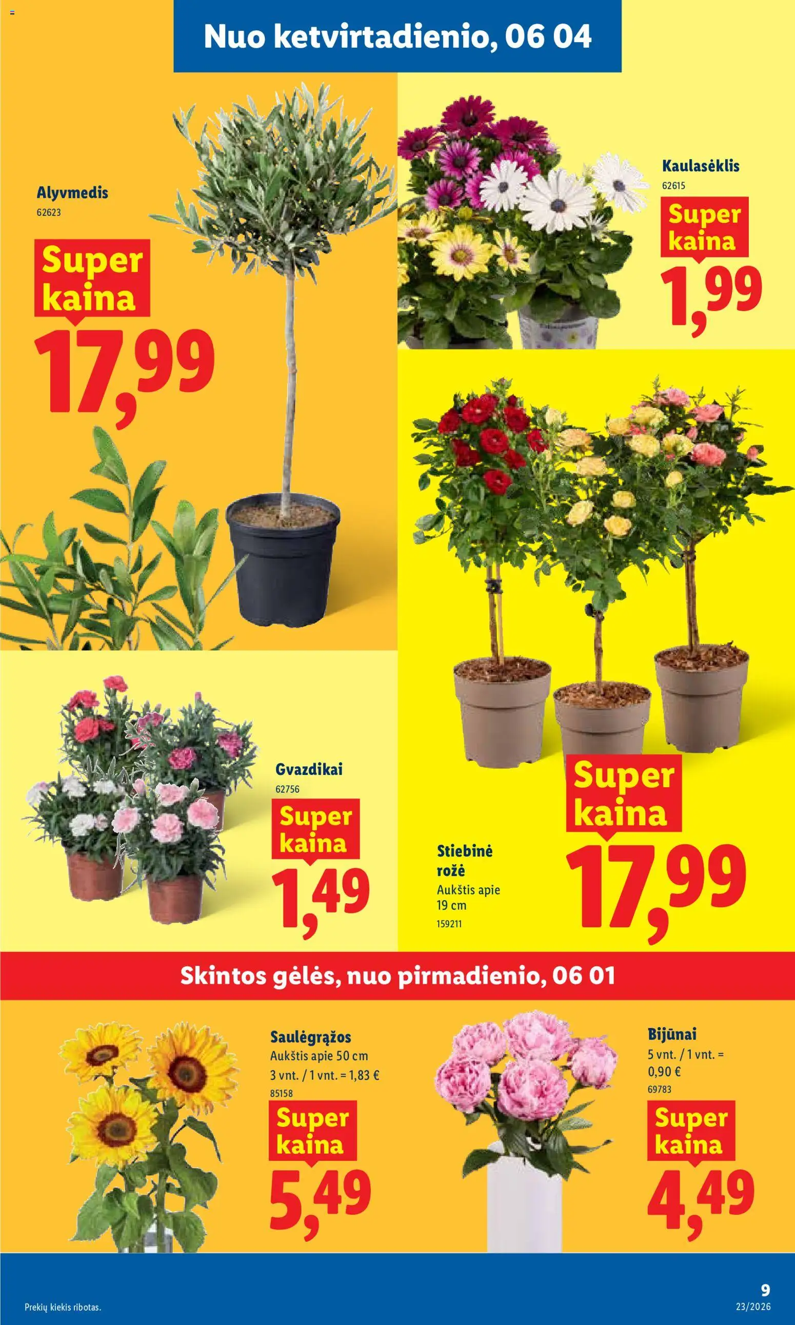 LIDL akcijos nuo 01.06.2026 | Puslapis: 9