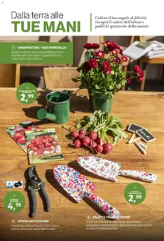 Anteprima del volantino IN's volantino Garden valido a partire dal 15.04.2026 | Pagina: 2