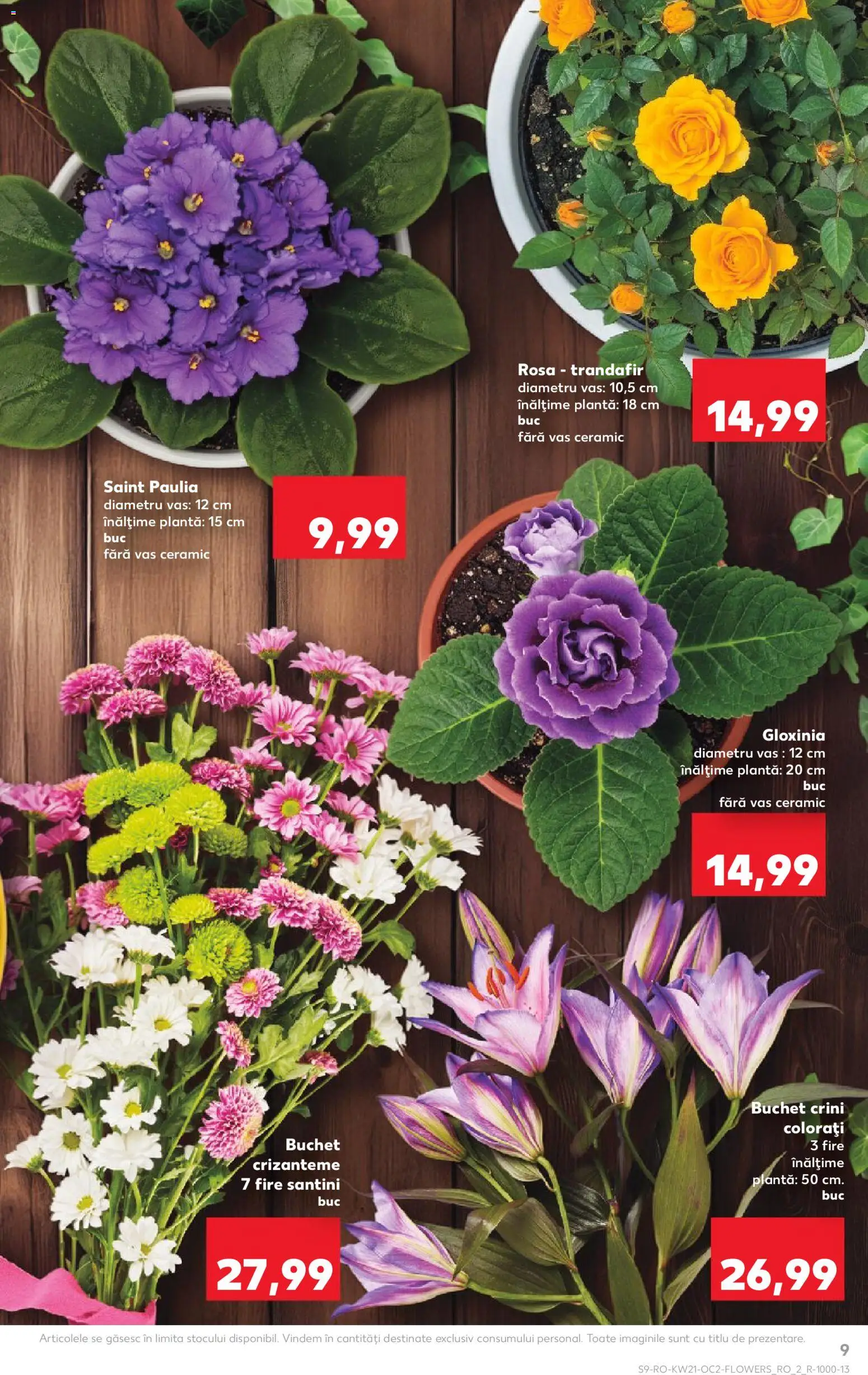 Noul catalog Kaufland – valabil de la 20.05.2026 | Pagină: 9 | Produse: Trandafir