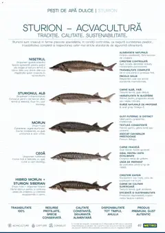 Ofertele Metro valabile de la 01.10.2026 | Pagină: 49 | Produse: Raft, Bucătărie, Combino, Apă