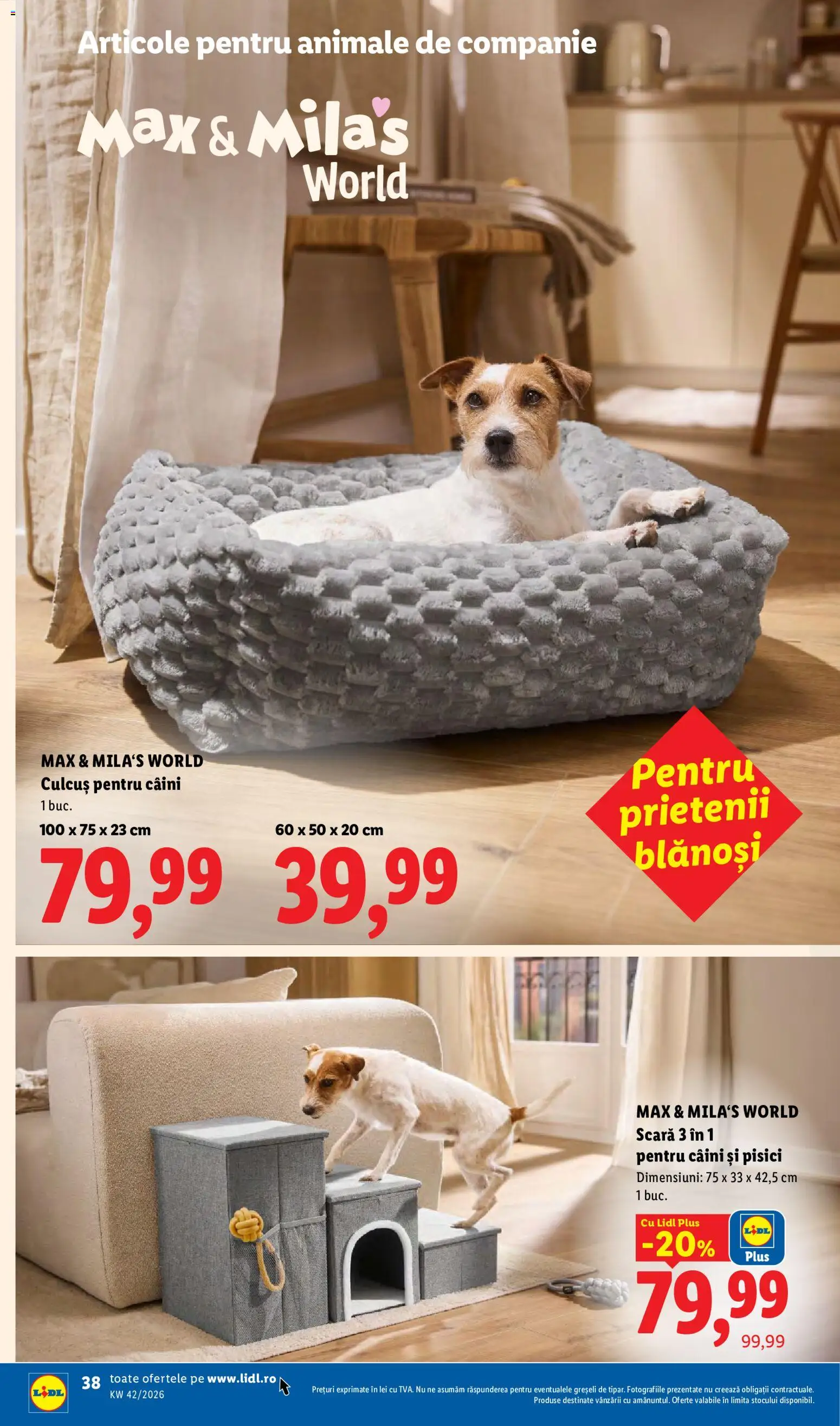 Noul catalog Lidl – valabil de la 12.10.2026 | Pagină: 38