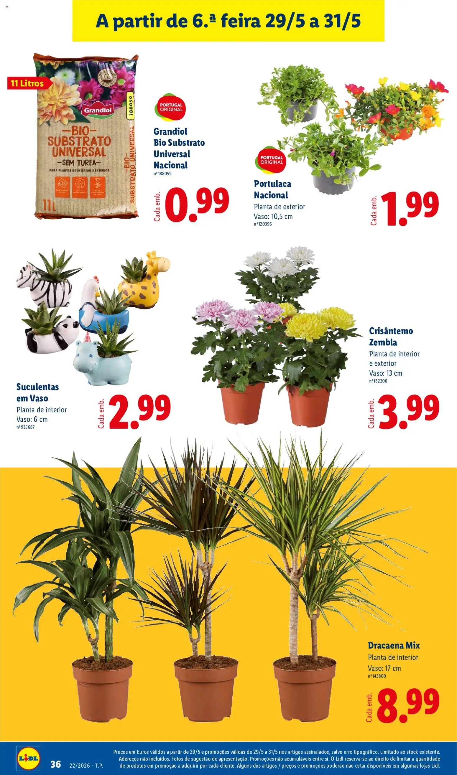 Lidl folheto │ válido de 25.05.2026 | Página: 36 | Produtos: Vaso