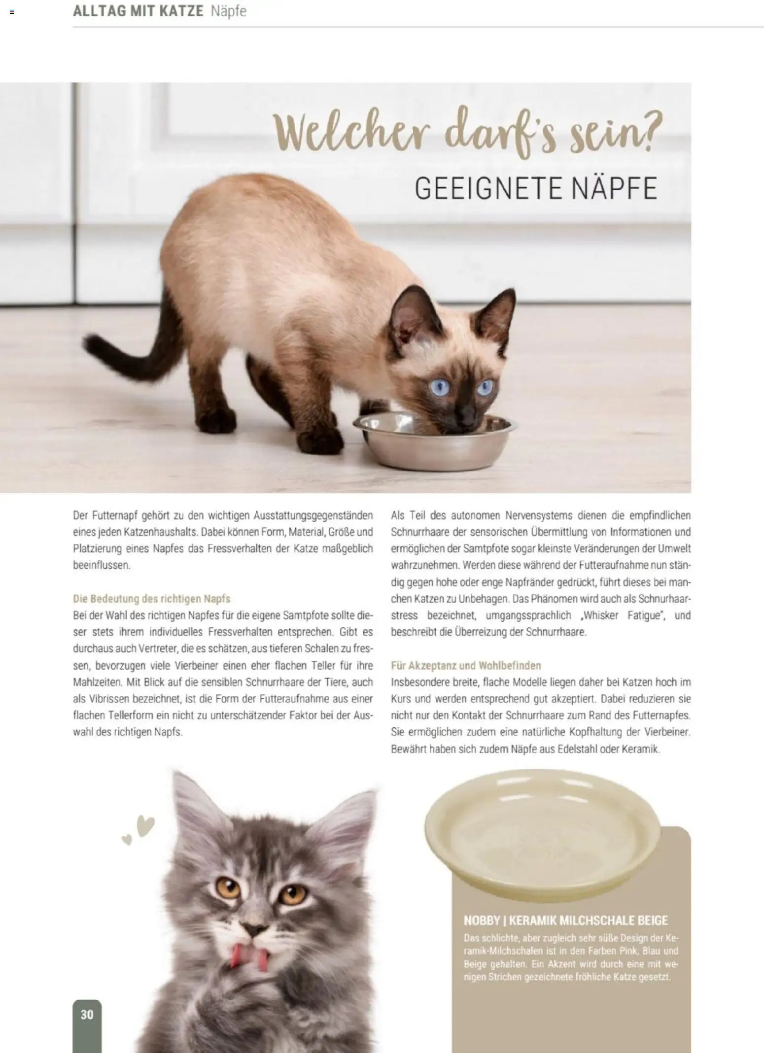 zookauf Themenkatalog Katze – gültig ab 01.10.2026 | Seite: 30
