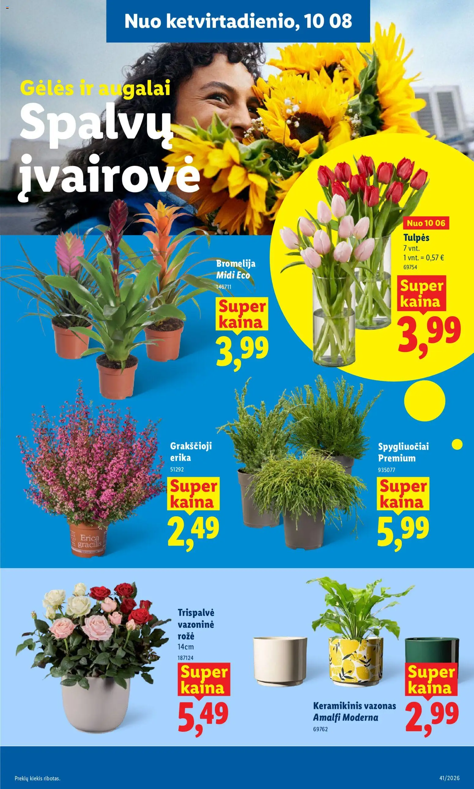 LIDL akcijos nuo 2026.10.05 | Puslapis: 51 | Prekių: Vazonas