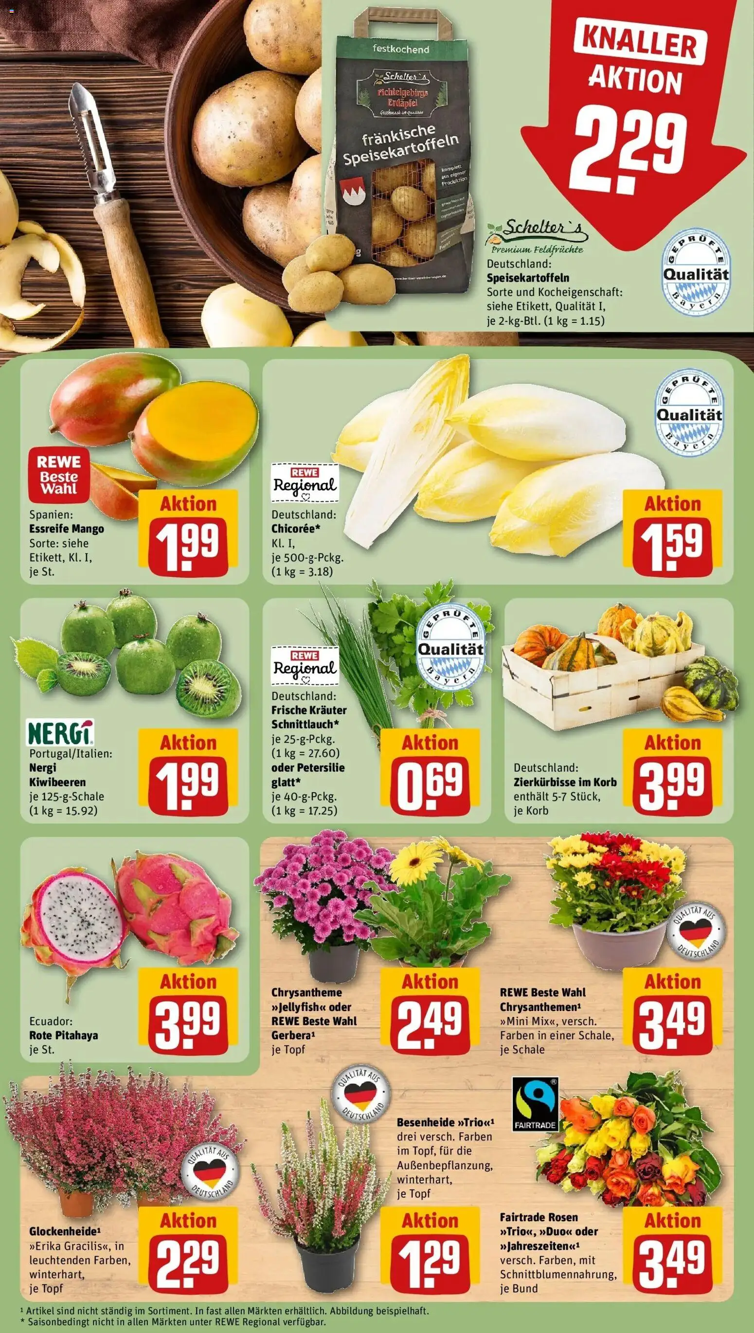 REWE Prospekt ab 21.09.2026 zum Blättern » Angebote | Seite: 13 | Produkte: Korb, Mango, Petersilie