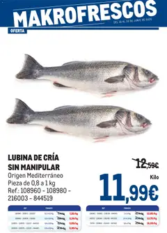 Vista previa Makro Fresco Península válido desde el 16.06.2026