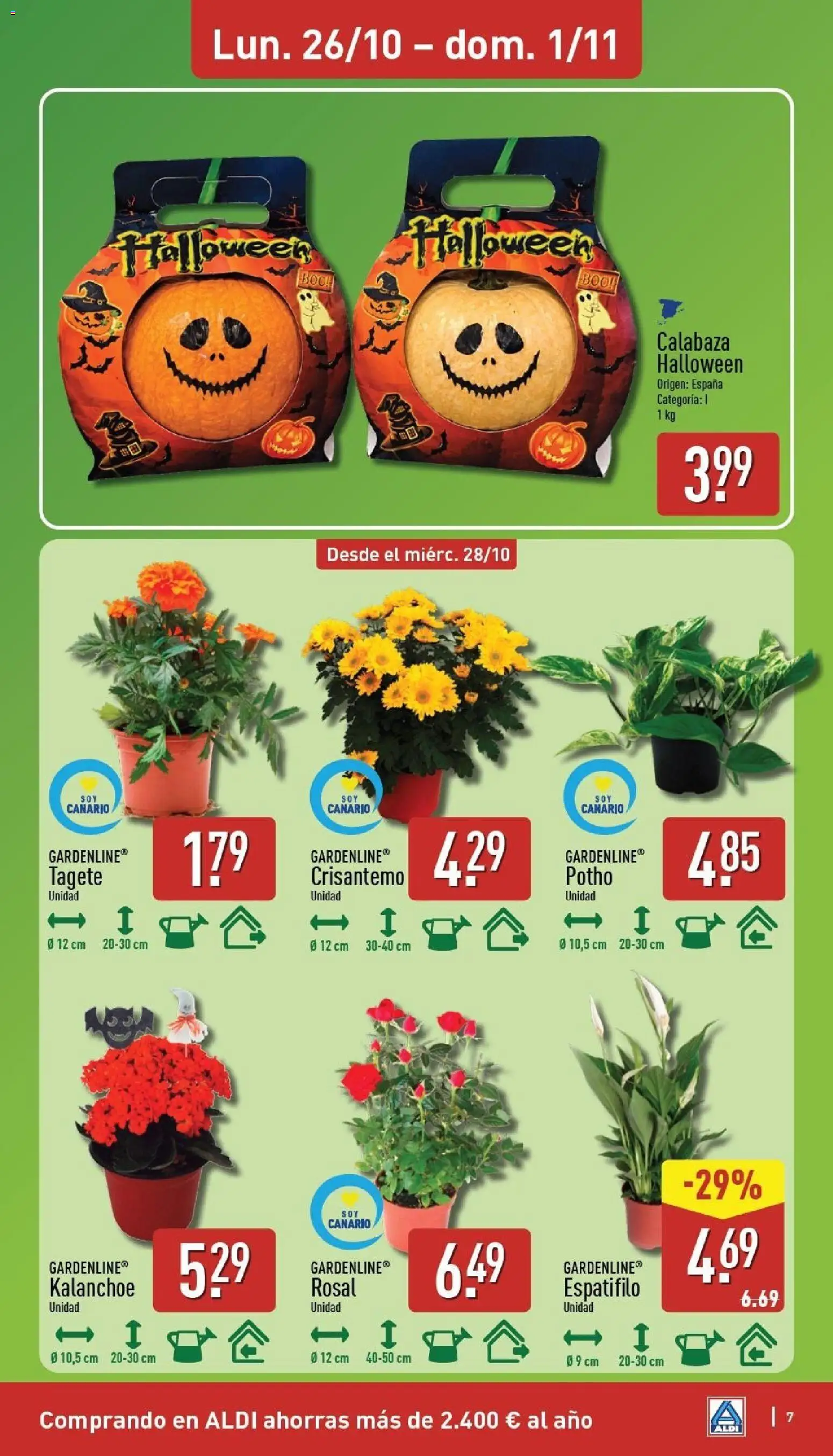 Aldi folleto Canarias │ válido desde el 26/10/2026 | Página: 7